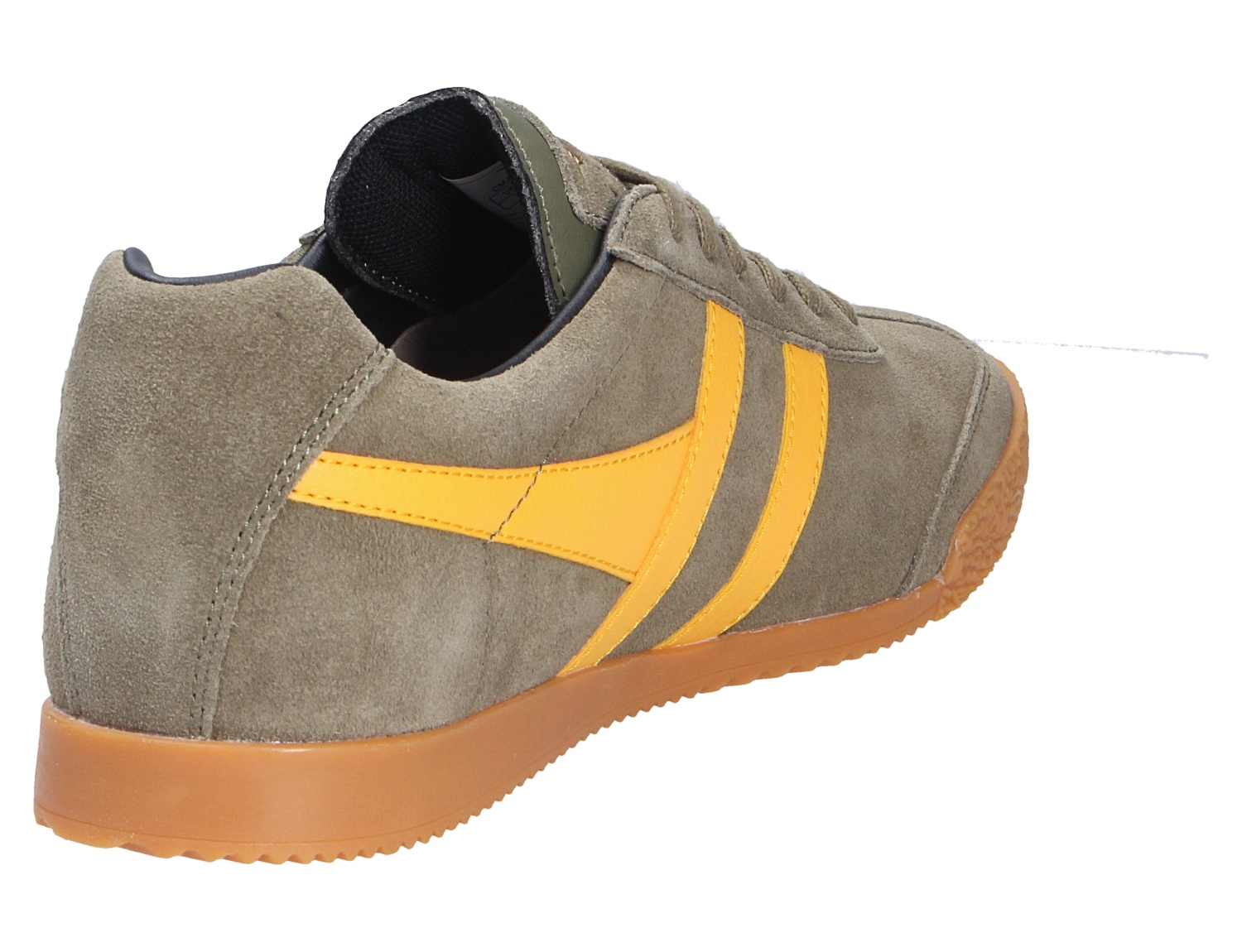 Harrier Trainer