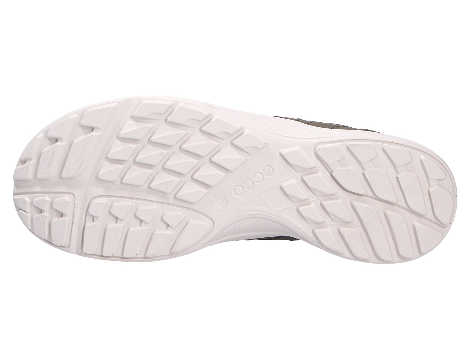 TERRACRUISE LT M