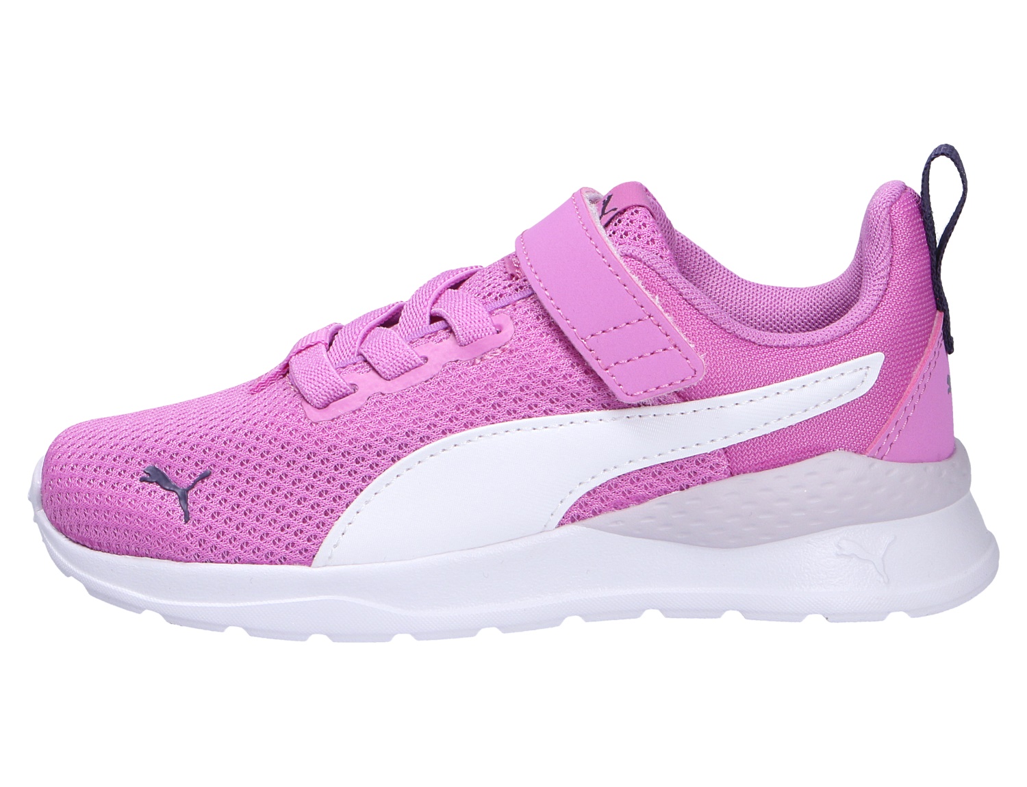 Anzarun Lite Jr