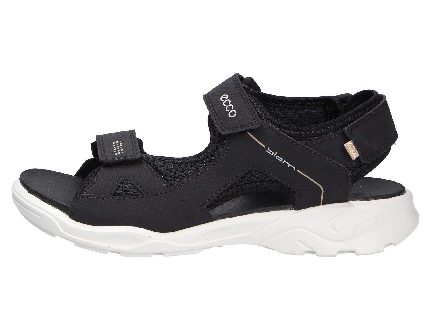 Ecco Kids