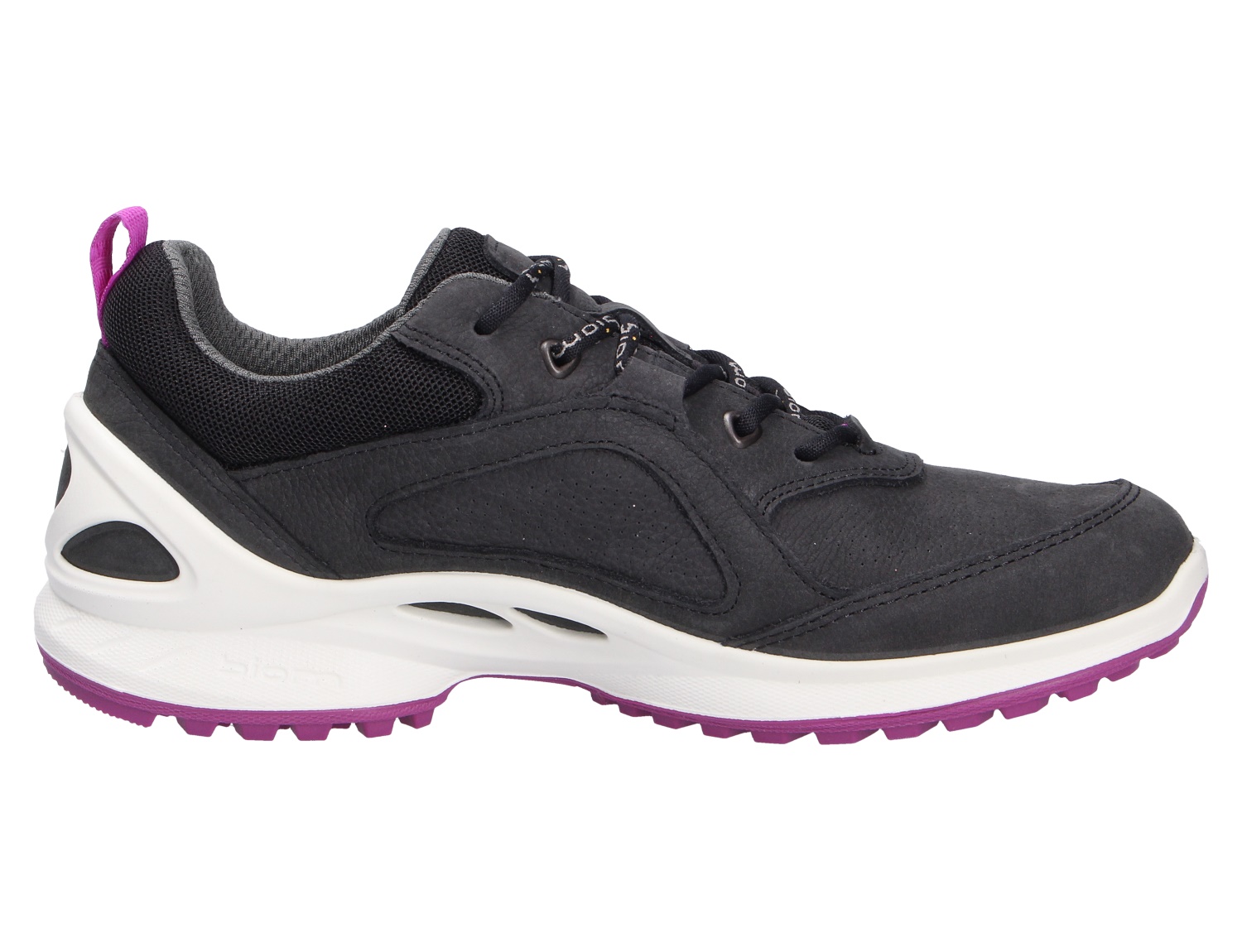 BIOM ENERGI W