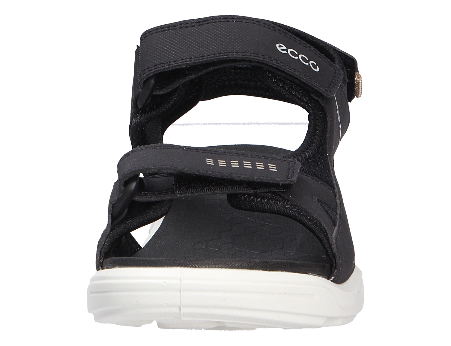 Ecco Kids