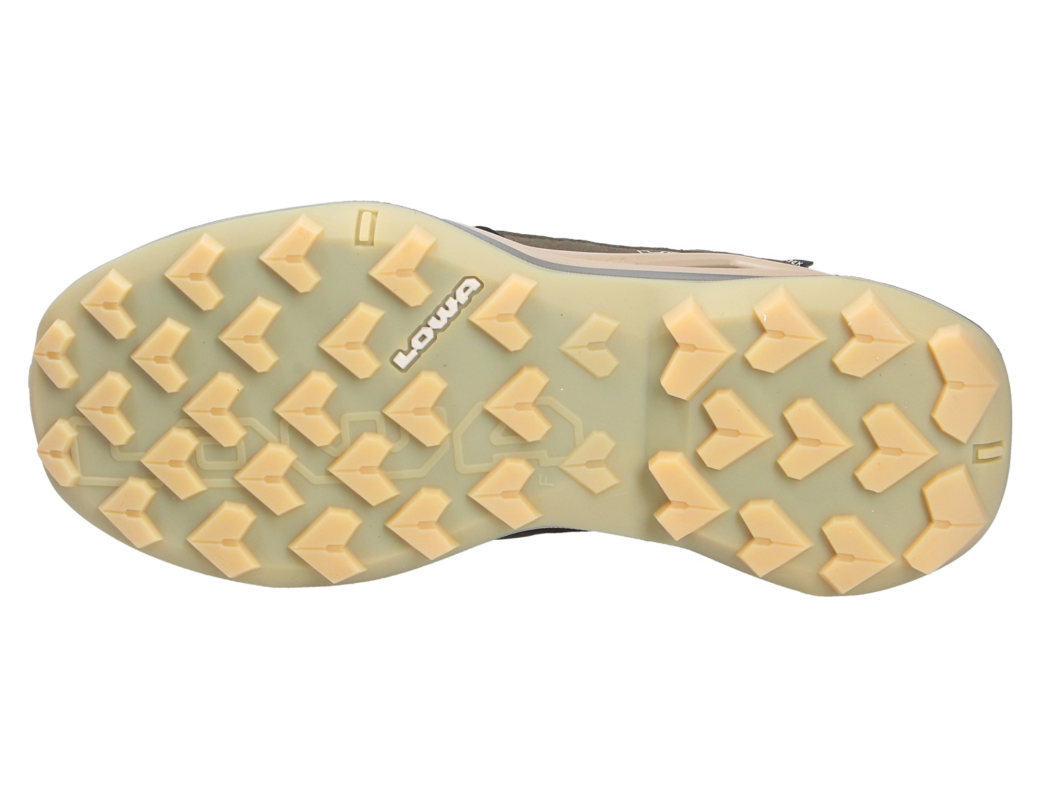 MADDOX PRO GTX LO