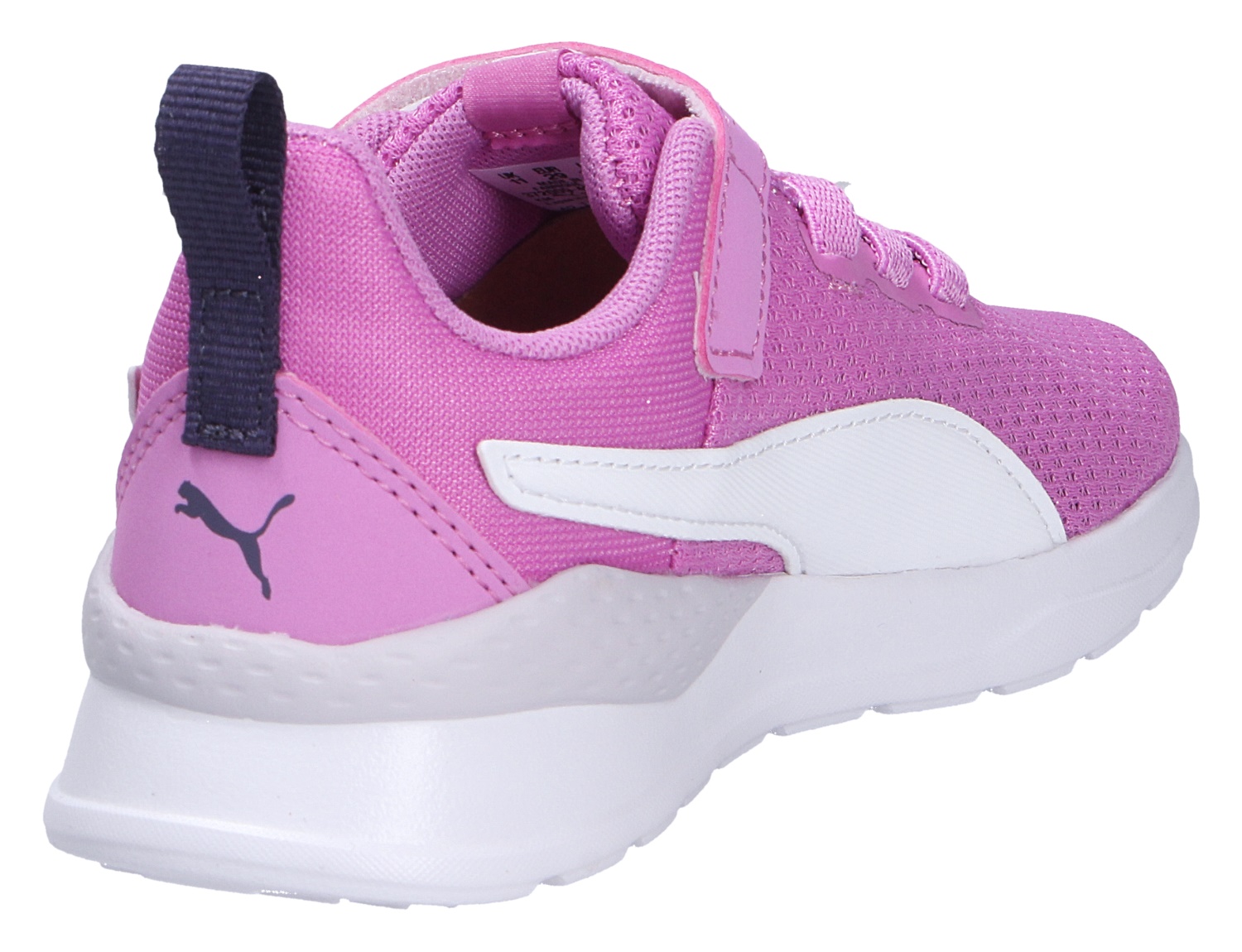 Anzarun Lite Jr
